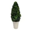 Hello Honey® 17'' Boxwood Cone Topiary In White Clay Pot -Michaels Shop D318984S 1