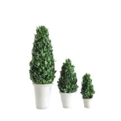 Hello Honey® 17'' Boxwood Cone Topiary In White Clay Pot -Michaels Shop D318984S 2