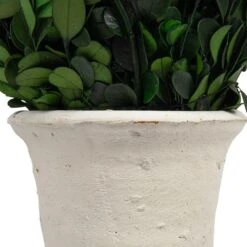 Hello Honey® 17'' Boxwood Cone Topiary In White Clay Pot -Michaels Shop D318984S 4