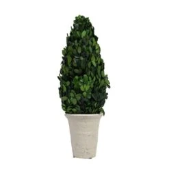 Hello Honey® 17'' Boxwood Cone Topiary In White Clay Pot -Michaels Shop D318984S 5