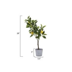 Hello Honey® 2ft. Faux Lemon Tree In Cement Pot -Michaels Shop D319767S 7