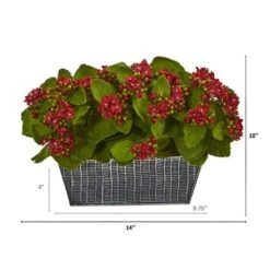 14in. Red Kalanchoe Plant In Black Embossed Planter -Michaels Shop D323459S 2
