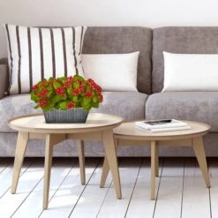 14in. Red Kalanchoe Plant In Black Embossed Planter -Michaels Shop D323459S 3