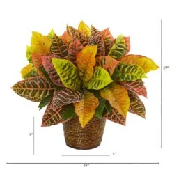 17" Garden Croton Plant In Basket -Michaels Shop D323618S 12
