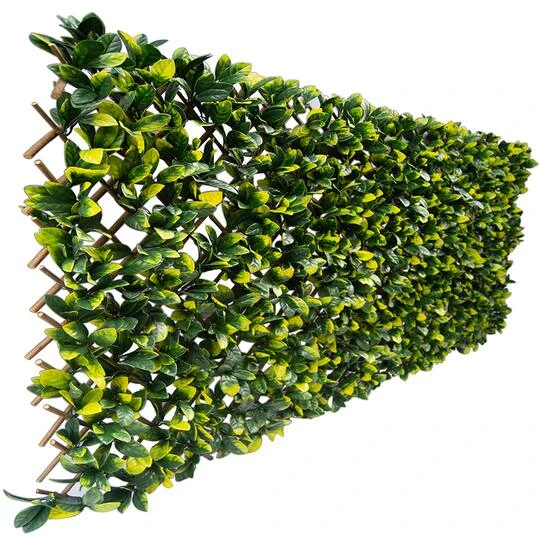 51" Expandable Lemon Leaf Lattice Screen 6 51" Expandable Lemon Leaf Lattice Screen - Image 4