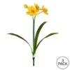 Yellow Narcissus Spray, 3ct. -Michaels Shop D333747S 3