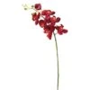 Magenta Real Touch Orchid Stem