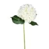White Hydrangea Stem, 2ct. -Michaels Shop D333774S 1