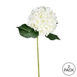 White Hydrangea Stem, 2ct. -Michaels Shop D333774S 3