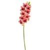 Purple Boat Orchid Stem 2 Purple Boat Orchid Stem -Michaels Shop D333800S 1