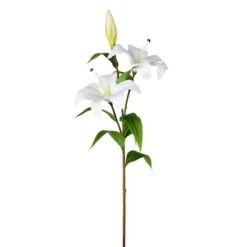 White Lily Spray