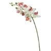 White Orchid Stem -Michaels Shop D333810S 1