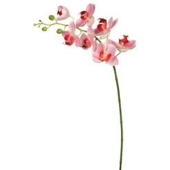 Real Touch™ Pink Moth Orchid Stem
