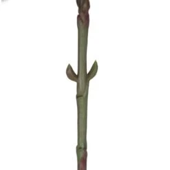 Purple Hydrangea Stem, 4ct. -Michaels Shop D333838S 4