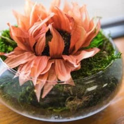 Orange Sunflower Stem, 4ct. -Michaels Shop D333846S 4