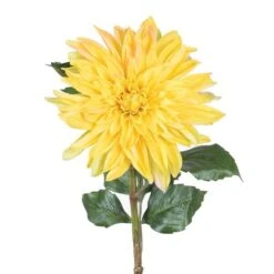Yellow Dahlia Stem