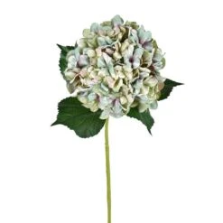 Seafoam Lavender Hydrangea Stem, 2ct.