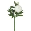 Cream Peony Stem, 3ct. -Michaels Shop D333855S 1