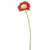 Red Gerbera Daisy Stem, 6ct. -Michaels Shop D333863S 1