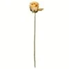 Mustard Rose Stem, 12ct. -Michaels Shop D333876S 1