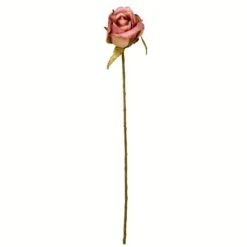Mauve Rose Stem, 12ct.