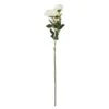 White Rose Stem, 3ct.