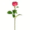 Deep Pink Rose Stem, 6ct. 1 Deep Pink Rose Stem, 6ct. -Michaels Shop D333917S 1