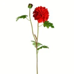 Red Dahlia Stem, 3ct.
