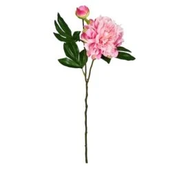 Light Pink Peony Stem, 6ct.