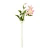 Pink Clematis Stem, 6ct. -Michaels Shop D333932S 1
