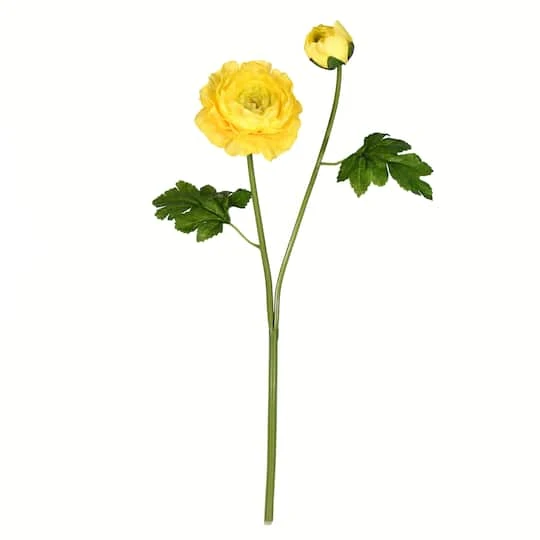 Yellow Ranunculus Stem, 6ct. 4 Yellow Ranunculus Stem, 6ct. - Image 2