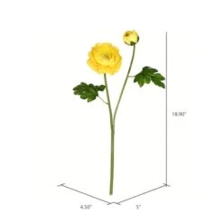 Yellow Ranunculus Stem, 6ct. 8 Yellow Ranunculus Stem, 6ct. -Michaels Shop D333933S 2