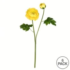 Yellow Ranunculus Stem, 6ct. 9 Yellow Ranunculus Stem, 6ct. -Michaels Shop D333933S 3