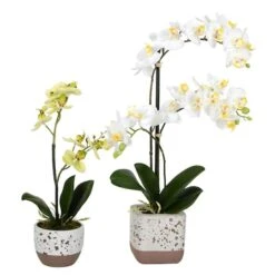 White Artificial Mini Moth Orchid In Planter Set