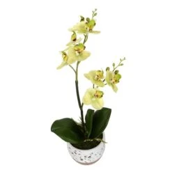 White Artificial Mini Moth Orchid In Planter Set -Michaels Shop D333943S 2