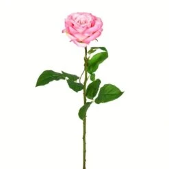Pale Pink Rose Stem, 6ct. -Michaels Shop D333953S 1