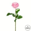 Pale Pink Rose Stem, 6ct. -Michaels Shop D333953S 3