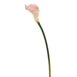 Pink Calla Lily Stem, 6ct. -Michaels Shop D333978S 1