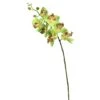 Green Real Touch Orchid Artificial Floral Stem -Michaels Shop D333982S 1
