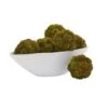 Green Sedum Succulent Spheres, 6ct. -Michaels Shop D350186S 11