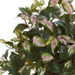 20" Hoya Plant In Decorative Planter -Michaels Shop D350187S 12