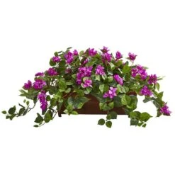 18" Bougainvillea Plant In Decorative Planter