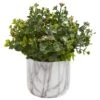 9" Eucalyptus Plant In Decorative Marble Finished Vase -Michaels Shop D350196S 1