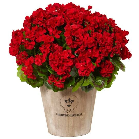 22" Red Geranium In Farmhouse Style Planter 3 22" Red Geranium In Farmhouse Style Planter