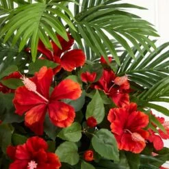 2.2ft. Red Hibiscus & Areca Palm Artificial Plant In White Bowl -Michaels Shop D350216S 14