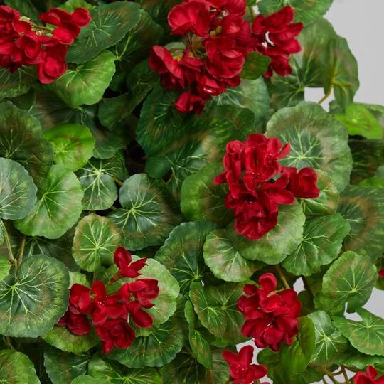 2.2ft. Red Geranium Artificial Plant In Hanging Basket 9 2.2ft. Red Geranium Artificial Plant In Hanging Basket - Image 7
