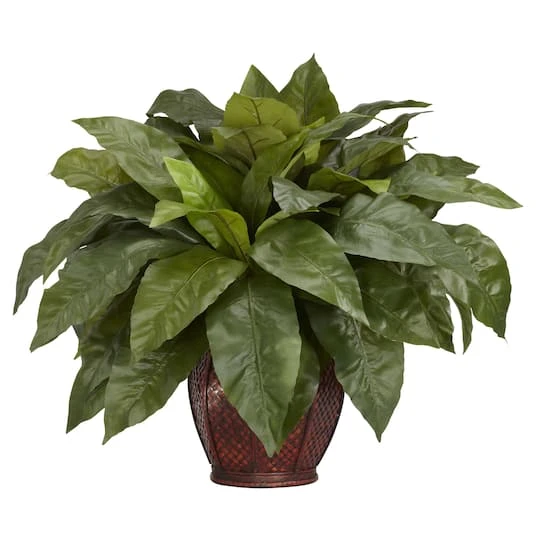 23'' Birds Nest Fern With Woven Brown Vase 4 23'' Birds Nest Fern With Woven Brown Vase - Image 2