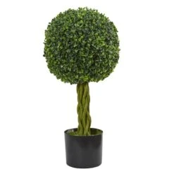 2ft. Potted Boxwood Ball With Woven Trunk Tree