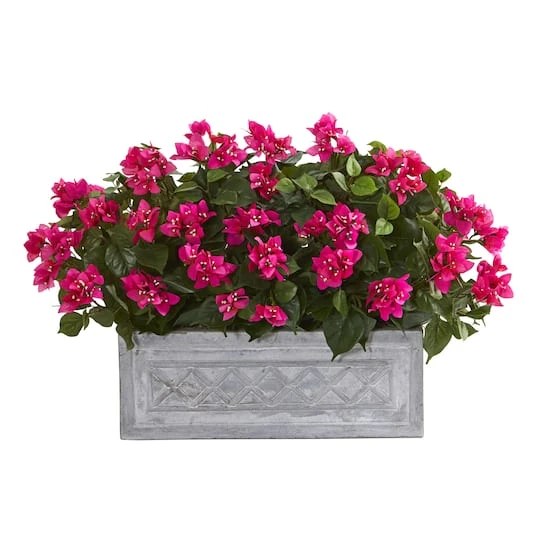 2.5ft. Pink Bougainvillea In Stone Planter 3 2.5ft. Pink Bougainvillea In Stone Planter