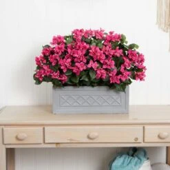 2.5ft. Pink Bougainvillea In Stone Planter 8 2.5ft. Pink Bougainvillea In Stone Planter -Michaels Shop D350247S 12